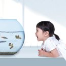 초이하우스 이미지