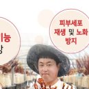 햇살담은농원