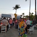 훌라댄스 이미지