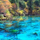 원어민 중국어 이미지