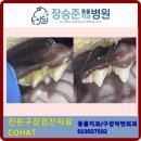 장승준동물치과병원 이미지