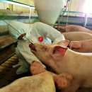 창녕농장 이미지