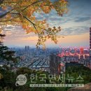 (주)교원투어 한국면세뉴스