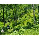 대관령 느린마을 이미지