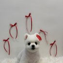 아이그루밍 이미지