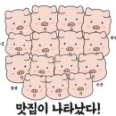 홍콩옛날손짜장