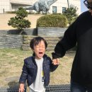 해남공룡박물관 이미지