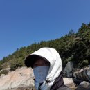 하선경로당 | 감성돔19 &amp; 금오열도