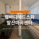 우장산 힐링센터 | 마곡 두피 관리 제대로 받는 곳 | 웰바디 헤드스파 발산마곡센터 솔직 후기