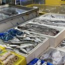 다미정 | 가락시장 보보수산 대게 다미정 초장집 가족식사 후기