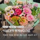 부케바이242