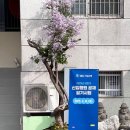 기업은행앞 | [2025년 상반기] IBK 기업은행 서류합격 (자소서, 필기시험 후기, 필기 모의고사)