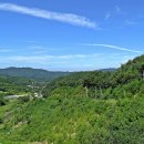 고향의 여름 이미지