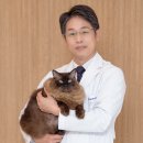 조은동물의료원 이미지