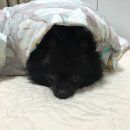 소연닭발 앞 이미지