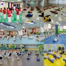 바른체육관 이미지