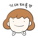 (주) 스카이드래곤 이미지
