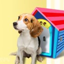 즐거운애견미용실 이미지