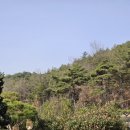 달밤한옥펜션 이미지