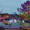 코리아플라워파크 이미지