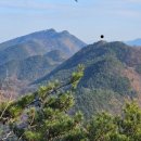 나젤로 | 옥천 늘치산성 (沃川 늘치山城)