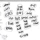 The Five Senses 이미지