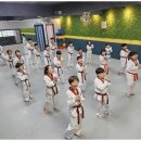 성남태권도장 이미지