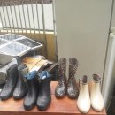 장화농장2 이미지