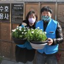 대전동산의원 이미지