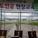 호동농장 이미지