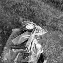 갯벌정원 이미지