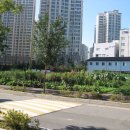 덕이고등학교 이미지