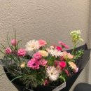 페브(Feb)