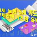 카드대출 늘린 5개 카드사 연체잔액 1조원 …연체율 9년 만에 최고 이미지