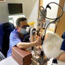 휴안과동물병원 이미지