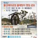 불갑농촌테마공원 네이버블로그