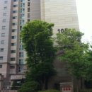 중동 1261 이미지