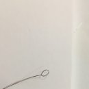 다모올