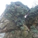 남해-260 이미지