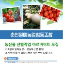 춘천원예농업협동조합 이미지