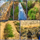 飮中八僊歌음중팔선가 - 杜甫두보, 🔹 오늘 내가 기쁜 두번째 이유? 이미지