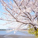 사회복지법인여수애양병원 이미지