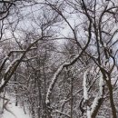 송산유원지 이미지