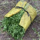 한재농장 이미지