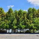 호반오토캠핑장 이미지