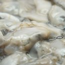 우리집굴수산