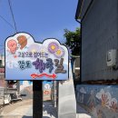 경주 감포 가볼만한곳 해국길 벽화따라 걷기여행