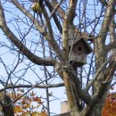 목천농장 이미지