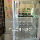 나이시베이크샵 | [온호프베이크샵]안산 두쫀쿠ㅣ휘낭시에ㅣ디저트맛집 웨이팅 후기