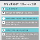 미헤어라인 이미지